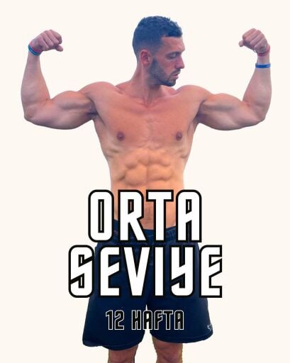 Orta Seviye